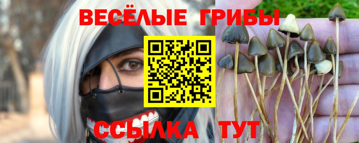 Галлюциногенные грибы Cubensis Отрадное